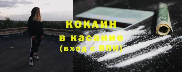 эйфоретик Няндома
