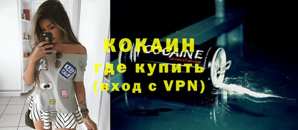 эйфоретик Няндома