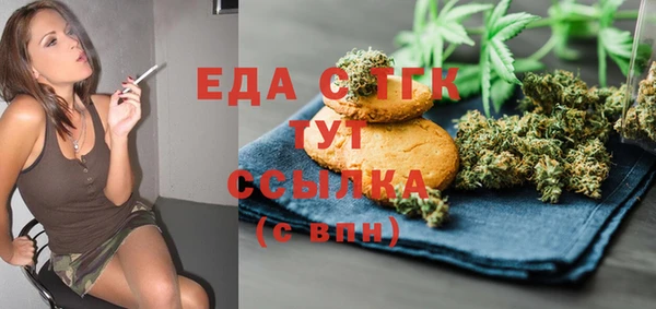эйфоретик Няндома