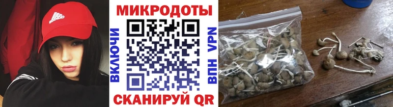 Псилоцибиновые грибы ЛСД Красавино